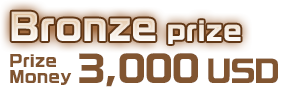 Bronze prize  3,000 USD