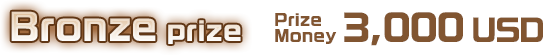 Bronze prize  3,000 USD